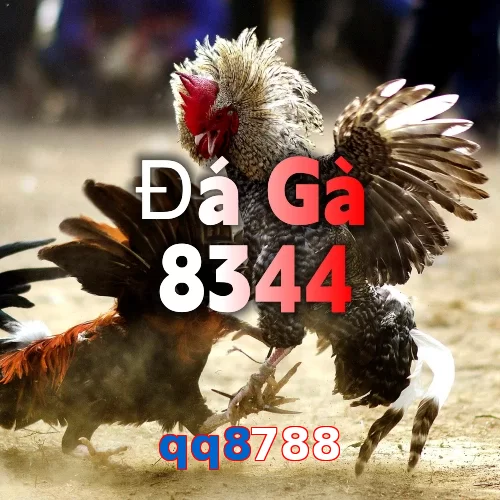 qq8788